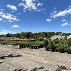 Outside