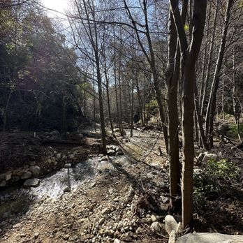 Millard Canyon - Parks Near Me - Altadena, California Millard Canyon - Parks Near Me - Altadena, California