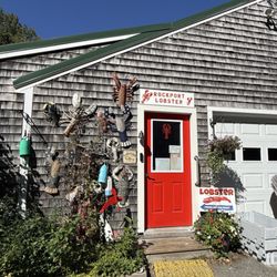 Rockport Lobster - Live Lobster!