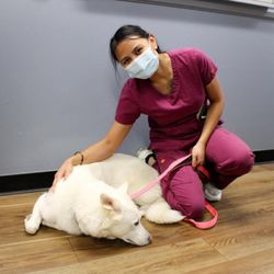 Signal Hill Pet Hospital