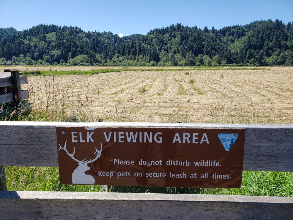 Dean Creek Elk Viewing Area Logo