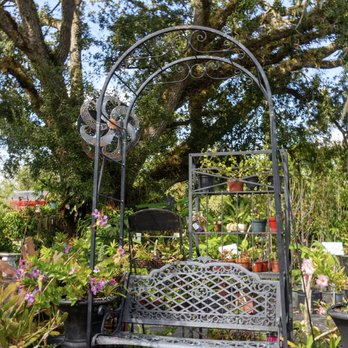 Inca Plant Nursery - Nurseries & Gardening Near Me - Geneva, Florida Inca Plant Nursery - Nurseries & Gardening Near Me - Geneva, Florida