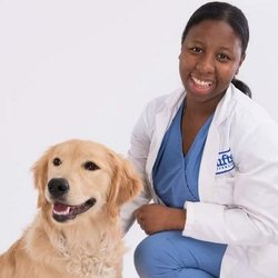 Pet Vet