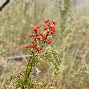 post-college entertainment