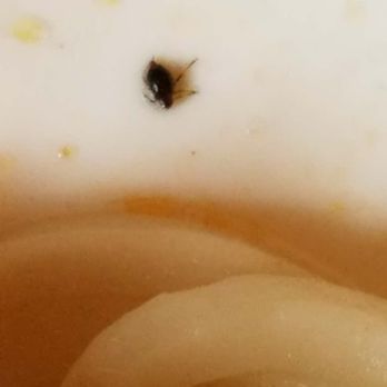 Hot Pot House - DO NOT GO ! I found the worm/bug in my plate! - Chinese Near Me - Heidelberg, BW Hot Pot House - DO NOT GO ! I found the worm/bug in my plate! - Chinese Near Me - Heidelberg, BW