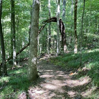 Timberland Park - Hiking Near Me