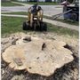 Photo of All American Lawn Care and Stump Grinding
