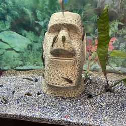 Atlantis Pets & Supplies - Finding Nemo...or, maybe, his cousin