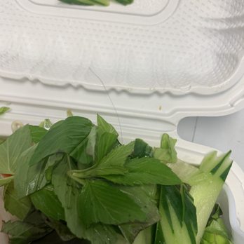 Pho Vietnam - Hair in lettuce - Vietnamese Near Me - Honolulu, Hawaii Pho Vietnam - Hair in lettuce - Vietnamese Near Me - Honolulu, Hawaii