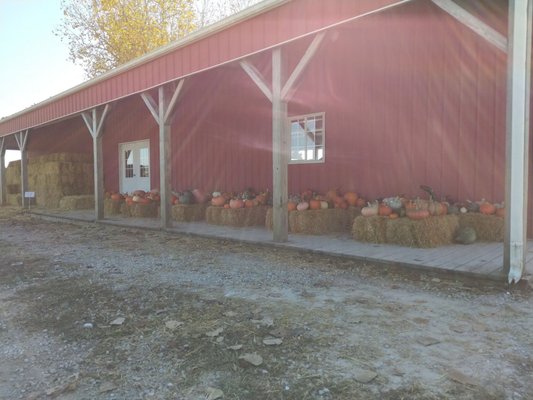 Strawberry Hill Farms by null