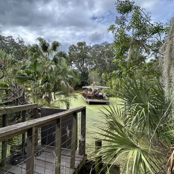 Jungle Adventures - Tours Near Me - Christmas, Florida Jungle Adventures - Tours Near Me - Christmas, Florida