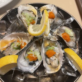 Kane sushi - oysters - Japanese Near Me - Cedar Park, Texas Kane sushi - oysters - Japanese Near Me - Cedar Park, Texas