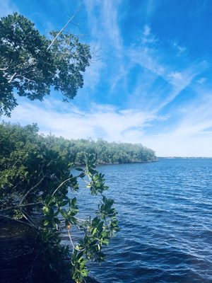 Four Mile Cove Ecological Preserve by null