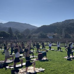 Salty Soul Sanctuary - Yoga at Folktale Winery: Outdoor Vine Bliss! Every Sunday, 10 AM.