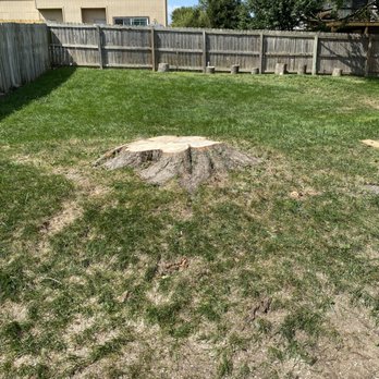 Stump Busters - Tree Services Near Me - La Vista, Nebraska Stump Busters - Tree Services Near Me - La Vista, Nebraska