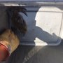 Photo of Fun Time Crabbing