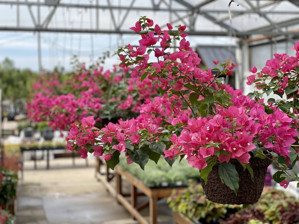 CULVER’S GARDEN CENTER & GREENHOUSE Request Information 57 Photos