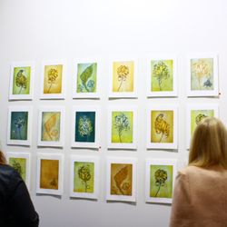 PG Printmaker Gallery - Kati Thamo, Strange to Behold exhibition