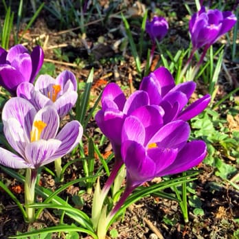 Westpark - Frühling im Westpark - Parks Near Me - Munich, BY
