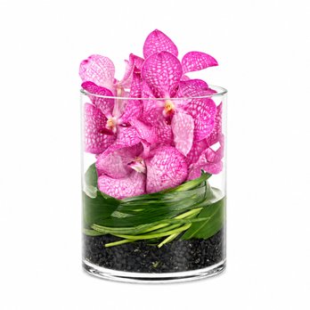 Driftwood Florist - Florists Near Me - Jupiter, Florida Driftwood Florist - Florists Near Me - Jupiter, Florida