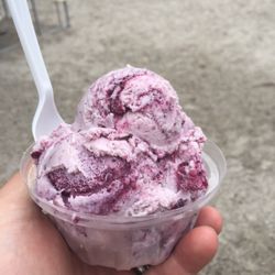 Frosty's Dairy Bar - Maine blueberry ice cream