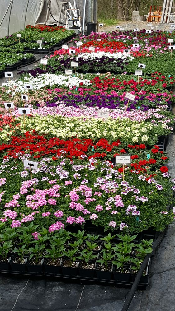 BLOOMING HILL FARM Updated June 2024 18700 Frederick Rd, Parkton