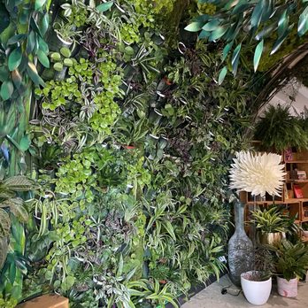 Lost Books - Plants !! - Vinyl Records Near Me - Montrose, California