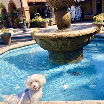 Ollo - New American Near Me - Malibu, California