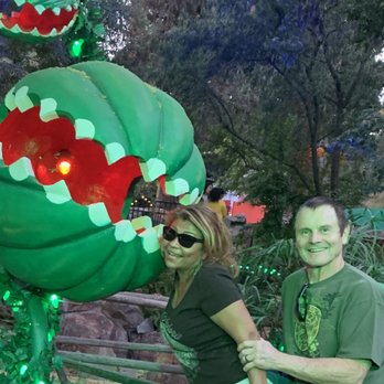 Pumpkin Nights - Festivals Near Me - Pomona, California