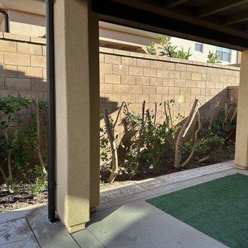Orange County Tree Services - Trees that were cut - Tree Services Near Me