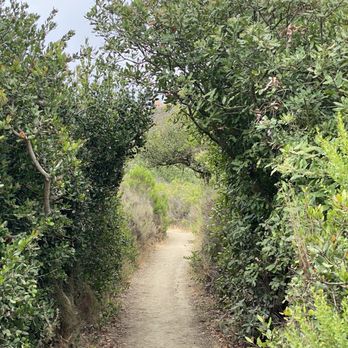 Buck Gully Reserve - Hiking Near Me - Newport Coast, California Buck Gully Reserve - Hiking Near Me - Newport Coast, California