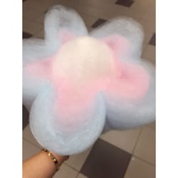 YUMMY MUMMY - 太可愛啦