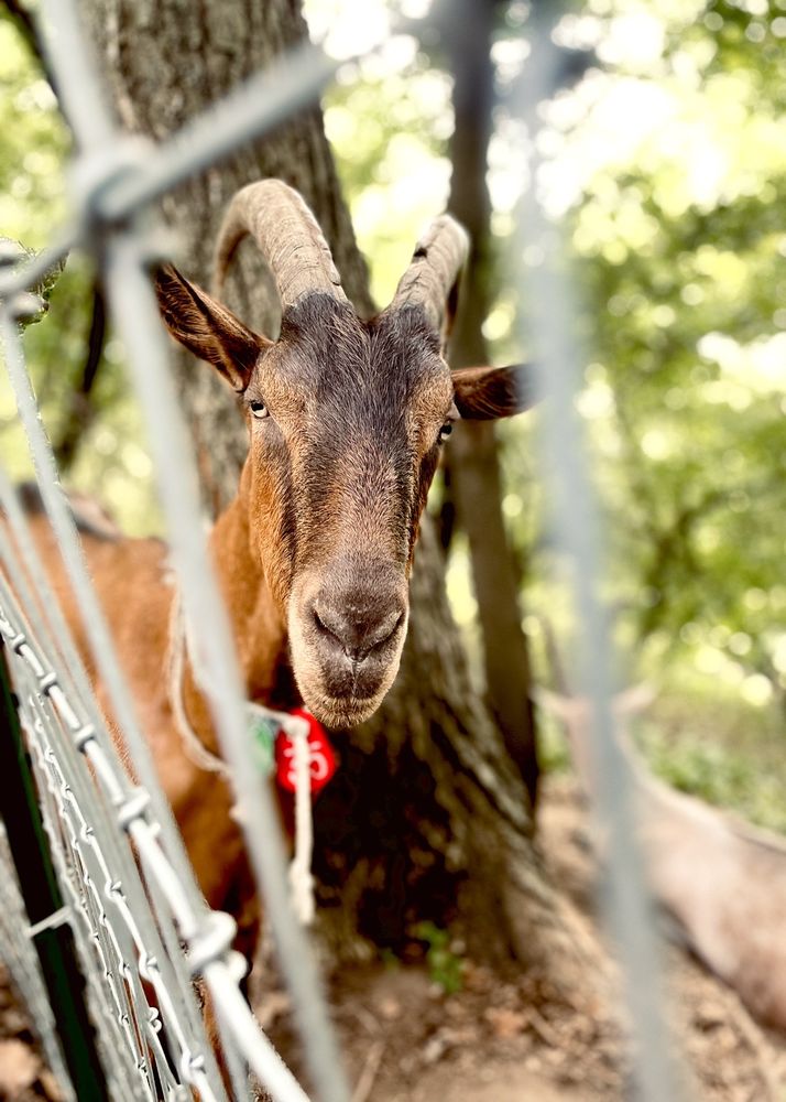 Riverside Park Conservancy