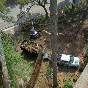 A Ward Tree and Storm Relief - Tree Services Near Me - Wilmington, North Carolina A Ward Tree and Storm Relief - Tree Services Near Me - Wilmington, North Carolina