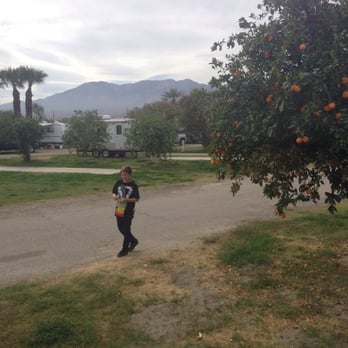 Oasis Palms RV Resort - Resorts Near Me - Thermal, California