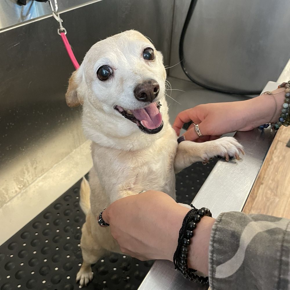Annie smiling before being betrayed by being given a bath
