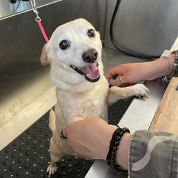 Annie smiling before being betrayed by being given a bath Annie smiling before being betrayed by being given a bath
