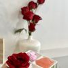 Blossom Nails Spa gift card
