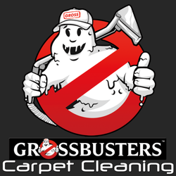 Grossbusters Carpet Cleaning - New look for 2016