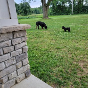 Momma Bear's Grooming - Pet Groomers Near Me - Fremont, Indiana Momma Bear's Grooming - Pet Groomers Near Me - Fremont, Indiana