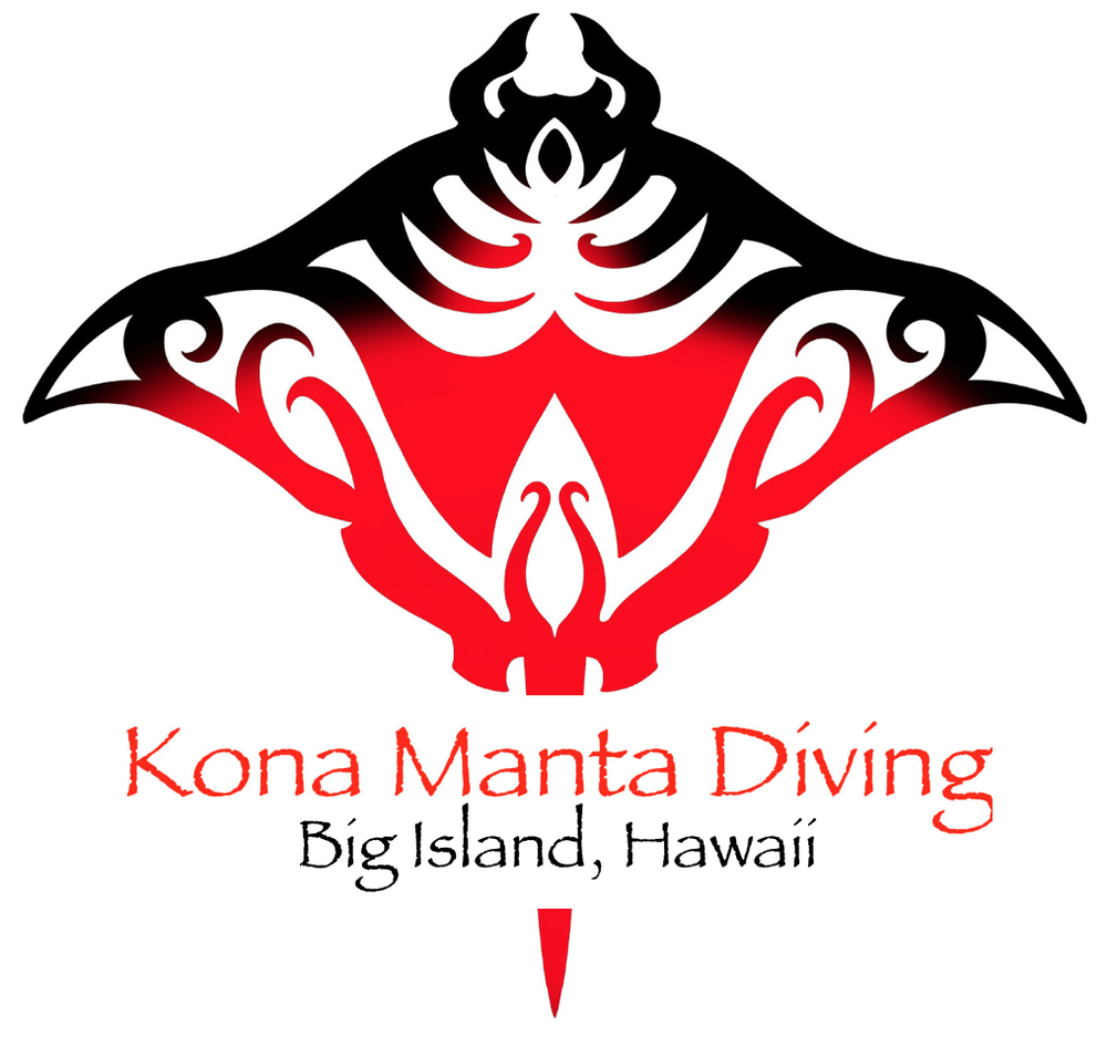 KONA MANTA DIVING Updated September 2024 755660 Kopiko St, Kailua