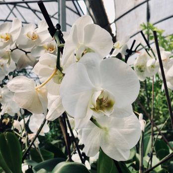 Plantkeeper - Nurseries & Gardening Near Me - Dallas, Texas Plantkeeper - Nurseries & Gardening Near Me - Dallas, Texas