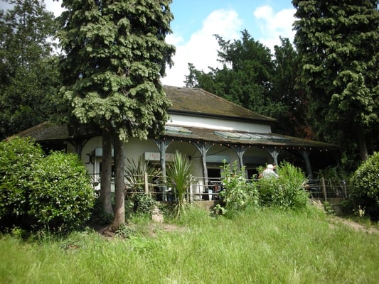 Hollyhock Vegetarian Fairtrade Cafe by null