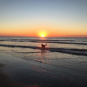Beachfront RV Park & Resort - Beach at the resort at sun up! - RV Parks Near Me - Surfside Beach, Texas