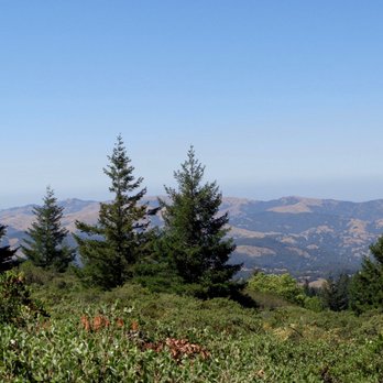 Marin Municipal Water District - Public Services & Government Near Me - Corte Madera, California Marin Municipal Water District - Public Services & Government Near Me - Corte Madera, California