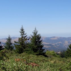Marin Municipal Water District