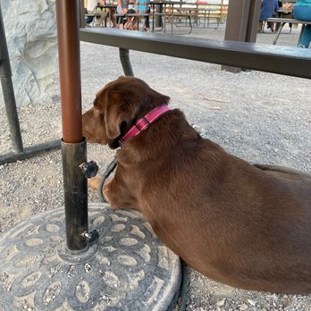 Base Camp Beer Works - Breweries Near Me - Grand Junction, Colorado