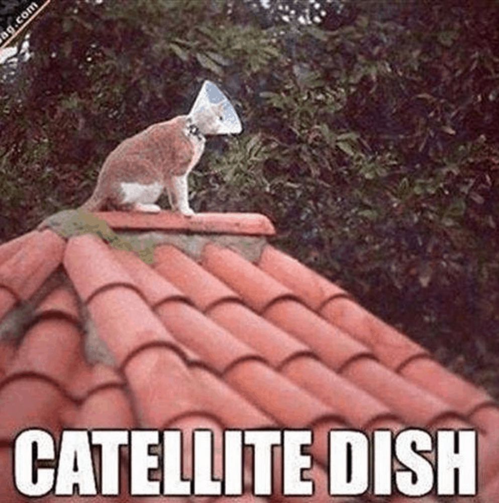 Slide of Divinity Roofing