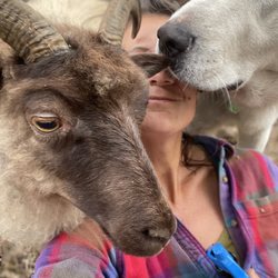 Lost Emu Farms - Our founder.