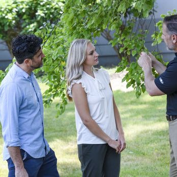 The Davey Tree Expert Company - Tree Services Near Me - Soquel, California The Davey Tree Expert Company - Tree Services Near Me - Soquel, California